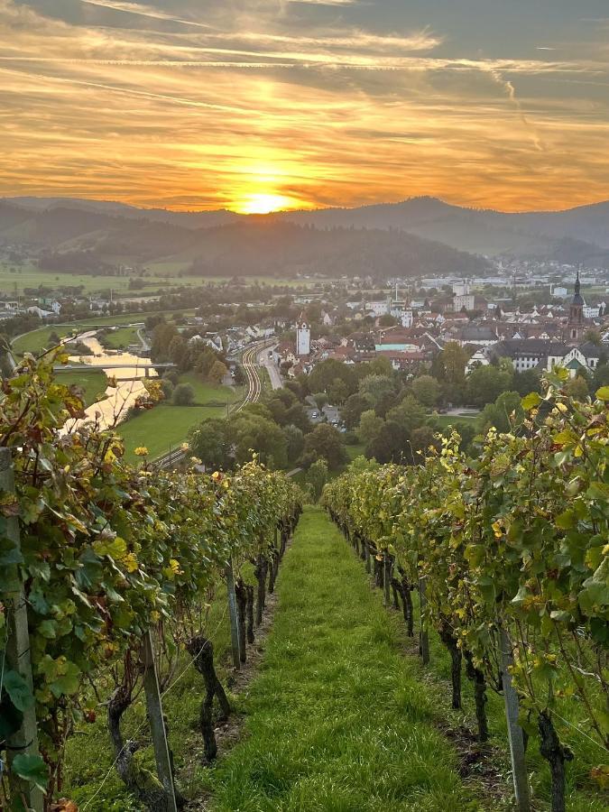 Appartamento Coucou - Nest Im Schwarzwald Gengenbach Esterno foto